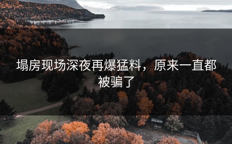塌房现场深夜再爆猛料，原来一直都被骗了