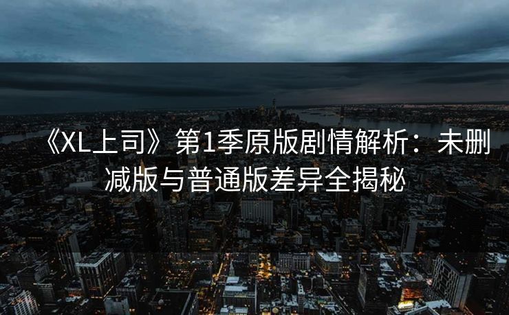 《XL上司》第1季原版剧情解析：未删减版与普通版差异全揭秘