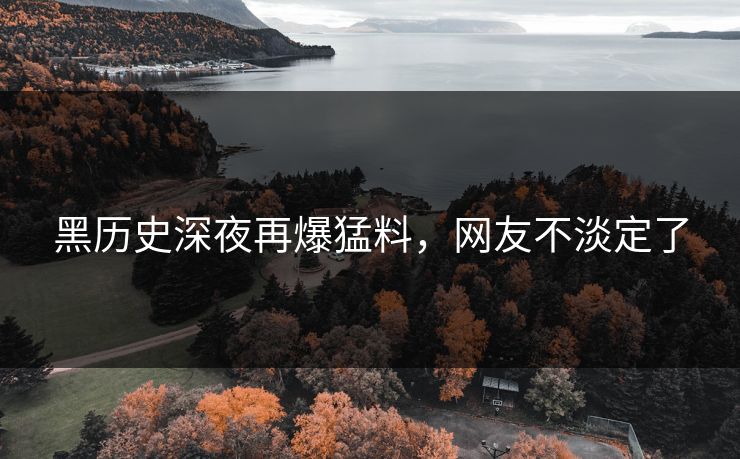黑历史深夜再爆猛料，网友不淡定了